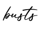 单词busts书写