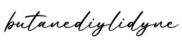 单词butanediylidyne书写