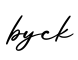 单词byck书写