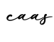 单词caas书写