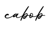 单词cabob书写