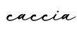 单词caccia书写