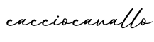 单词cacciocavallo书写