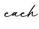 单词cach书写