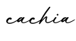 单词cachia书写