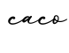 单词caco书写