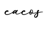 单词cacos书写