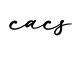 单词cacs书写