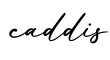 单词caddis书写