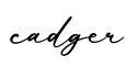 单词cadger书写