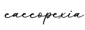 单词caecopexia书写