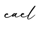 单词cael书写
