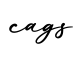单词cags书写