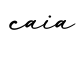 单词caia书写