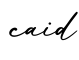 单词caid书写