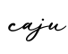 单词caju书写
