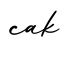 单词cak书写
