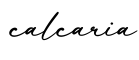 单词calcaria书写