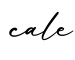 单词cale书写