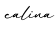 单词calina书写