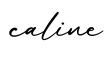 单词caline书写
