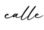 单词calle书写