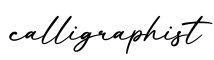 单词calligraphist书写