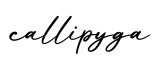 单词callipyga书写