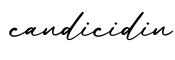 单词candicidin书写