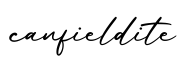 单词canfieldite书写