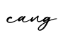单词cang书写