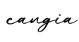 单词cangia书写