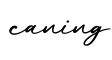 单词caning书写
