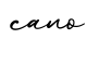 单词cano书写