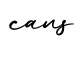 单词cans书写