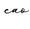 单词cao书写