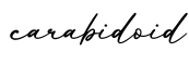 单词carabidoid书写