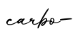 单词carbo-书写