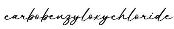 单词carbobenzyloxychloride书写