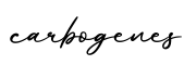 单词carbogenes书写