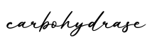 单词carbohydrase书写