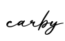 单词carby书写