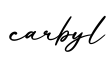 单词carbyl书写