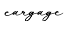 单词cargage书写