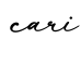 单词cari书写
