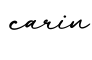 单词carin书写