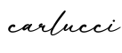 单词carlucci书写