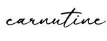 单词carnutine书写