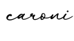 单词caroni书写