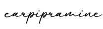 单词carpipramine书写